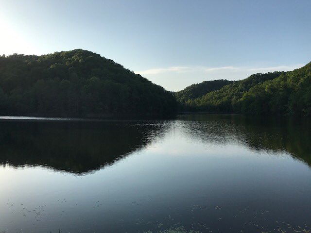 The serenity of MSU Eagle Lake: Retweet this if you are a current student or an alum and let’s see how many RTs we can get!