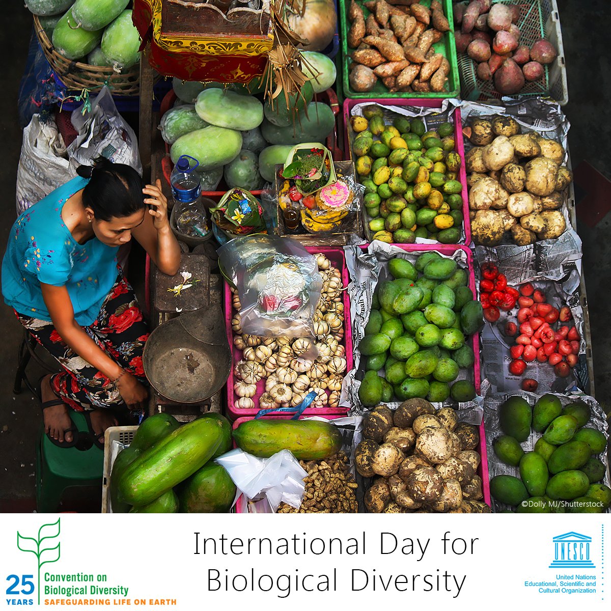 Biodiversity is central to our own existence, offering all nature's resources to our development. Let's protect it!

🌎 on.unesco.org/2x693ta  #BiodiversityDay