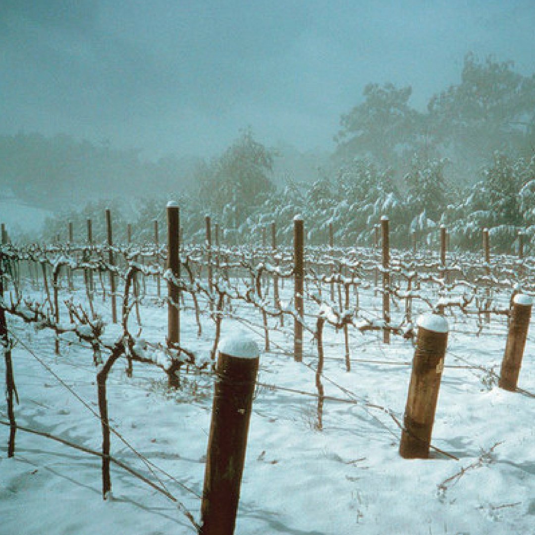 RT <a href="/Wine_Australia/">Wine Australia</a>: In the Wine above the Snow Line Master class at #VinexpoHK Yvonne Cheung explores the unique terroir created by the change in elevation on cool climate Chardonnay in region of Orange. Join us May 29 at 4:00PM on the Wine Australia stand