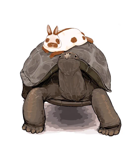 ウサギとカメ
「へい、タクシー ちょっとそこまで」
#世界亀の日 