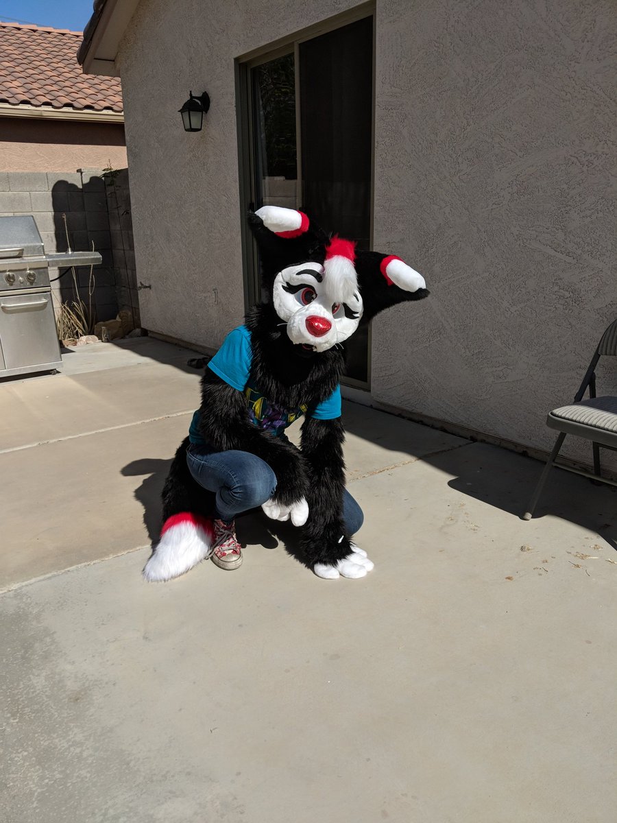 CassMutt's tweet photo. Eclipse Fennec is for sale!!
https://t.co/zwPHzcCfKT

Comes with suit, art, and character.

Give this starry gal a good home!!

RT's / Shares appreciated! Eclipse loves you!! https://t.co/bLCt3YPtfU