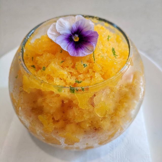 We love mango season and back by popular demand we now have Makaha Mango shave ice featuring three different types of mangoes.
Kaffir lime panna cotta, haupia tapioca, mango sorbet, and shaved mango! ift.tt/2xarsEW