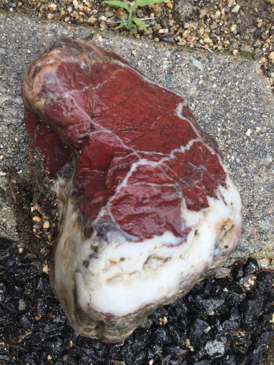 道に落ちていた石があまりに肉っぽすぎて混乱する人々「石っぽい肉 