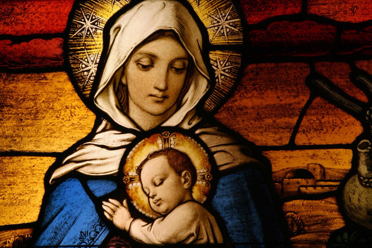 FaithCatholica's tweet photo. Pray for us, O holy Mother of God, that we may be made worthy of the promises of Christ. Amen.#MotherOfTheChurch #BlessedVirginMary #Catholic
#SheSaidYes #PrayTheRosary https://t.co/B3FFIs6VPG πβοΈππ€°βοΈπ―οΈ
RT Pray #Saveth8th #PROLIFE #VOTENO #8theref Ireland 5/25/18 https://t.co/AOvu8ZbXVh