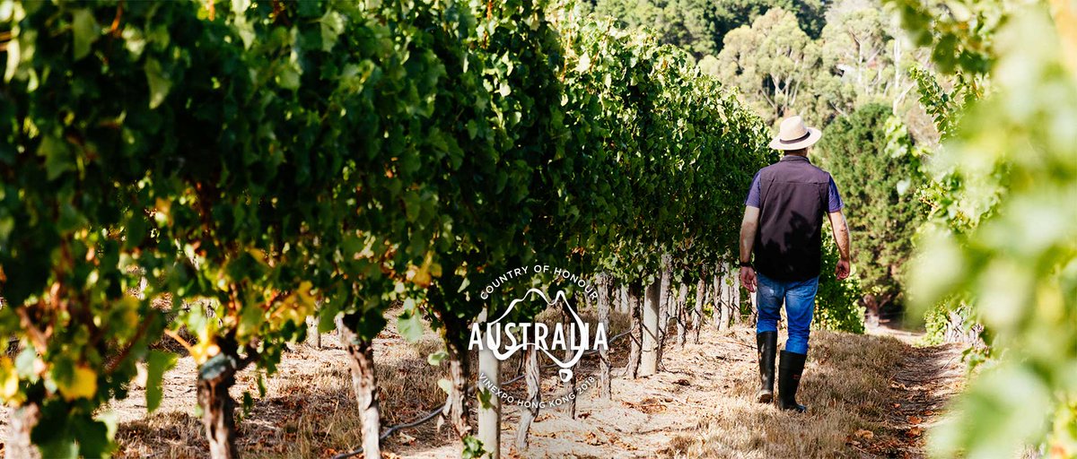 RT <a href="/Wine_Australia/">Wine Australia</a>: This year, #aussiewine will headline #VinexpoHK as ‘Country of Honour’, with our largest-ever showcase of 151 exhibitors representing over 225 wine brands from 51 regions. Download event program here: bit.ly/2KJ9TxF @VINEXPO