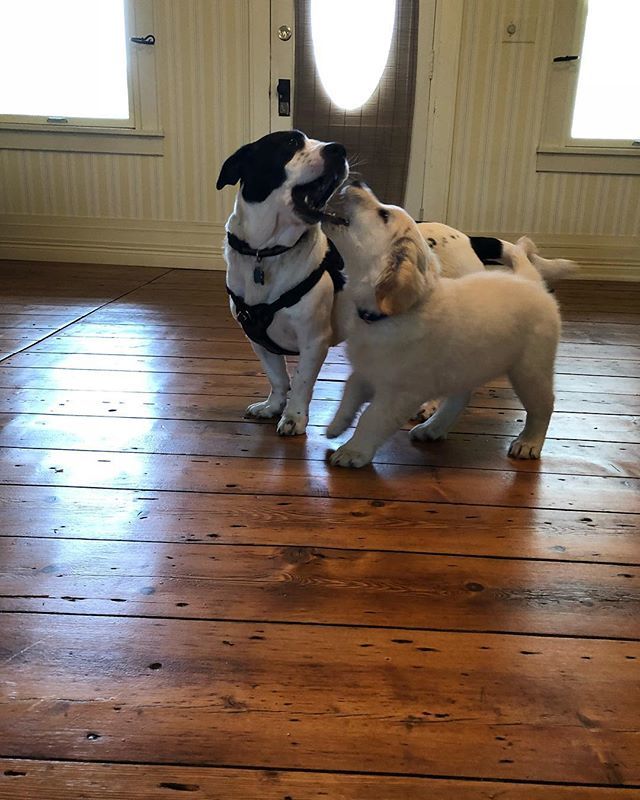 PSilb's tweet photo. When George met Coltrane https://t.co/Co7xCfJKsC https://t.co/2y9epMpFhq
