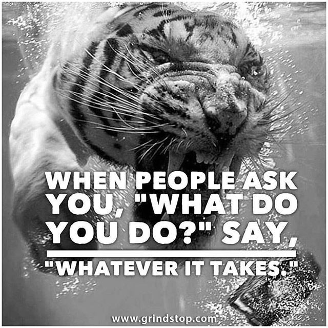 grindstoplab's tweet image. We all fail sometimes. What&apos;s important is that you never give up.

Visit Grindstop today and get access to tons of FREE resources on digital marketing: ift.tt/2oVLBqE

#igersoftheday #tech #techstartup #startup #entrepreneur #marketing #digita… ift.tt/2J5Qw4K