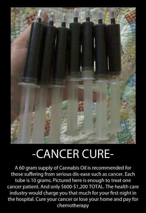 CtheB2's tweet photo. @SenEvanBayh Could have just killed the tumor 🧐 https://t.co/pAOEtqdRqP