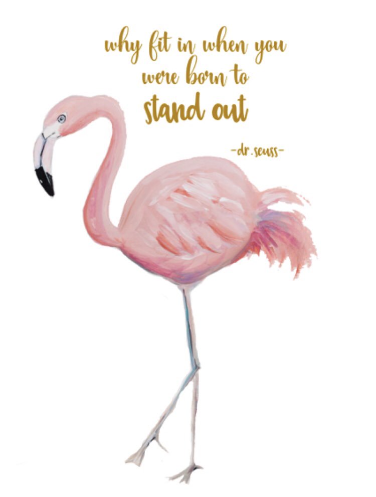 Russellville_HS's tweet photo. Who will win the Fabulous Flocka the Flamingo Award at THE CONTEST tomorrow? You better have your game faces on! #SmartTeamBuilding #FacultyFun https://t.co/cbv8iWax3K