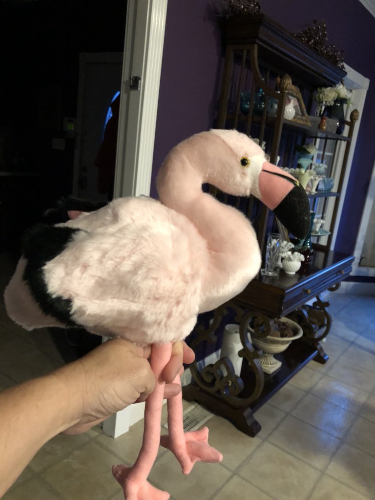 Russellville_HS's tweet photo. Who will win the Fabulous Flocka the Flamingo Award at THE CONTEST tomorrow? You better have your game faces on! #SmartTeamBuilding #FacultyFun https://t.co/cbv8iWax3K