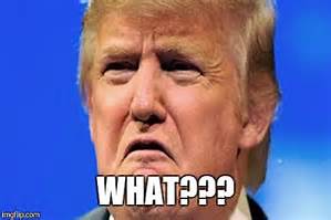 greenspaceguy's tweet photo. @MaddowBlog To distract from the bad press that the #InfrastructureWeeks got, General Kelly &amp; Sarah Sanders are distributing a weekly WH vocabulary list:
List for the WE 05/26:
spy
informant
Rule of Law
collusion
conspiracy
autocracy
hypocrisy
quid pro quo
covfefe
intential mispelling (sic) https://t.co/uazcSIE083