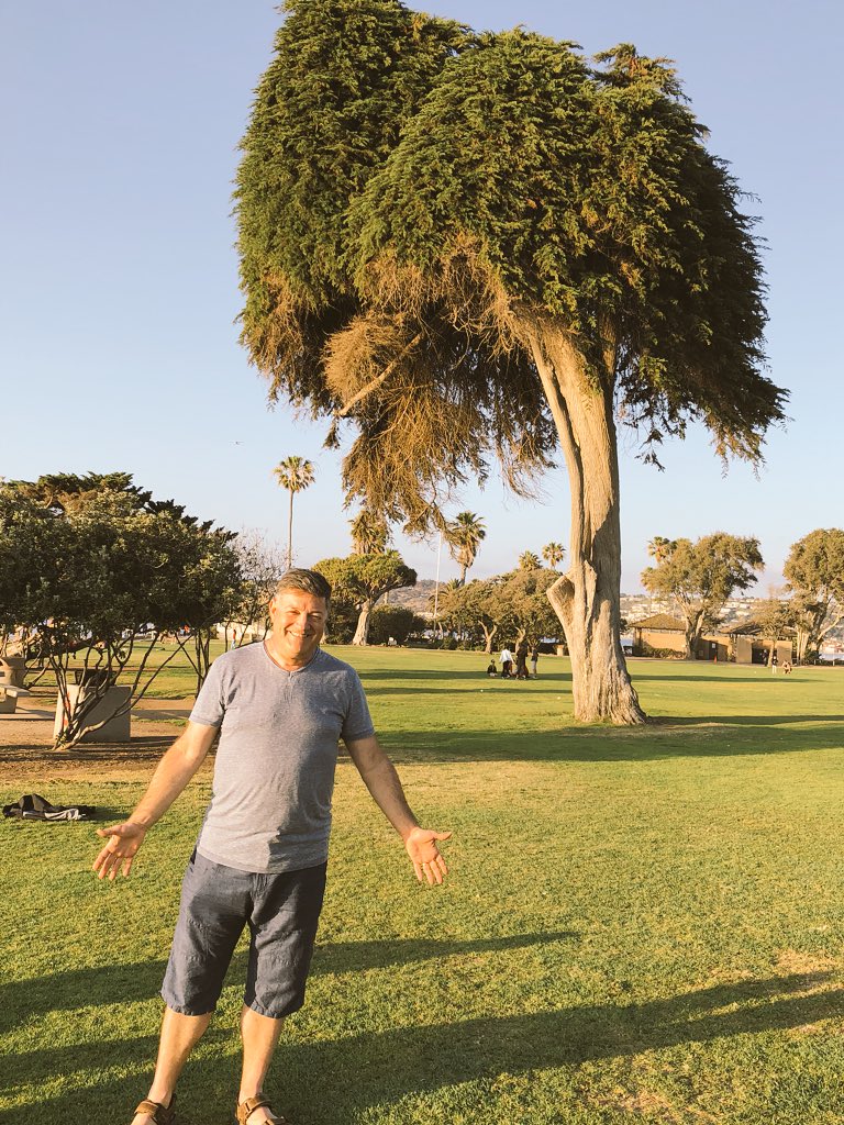 Lorax Trees Real Life