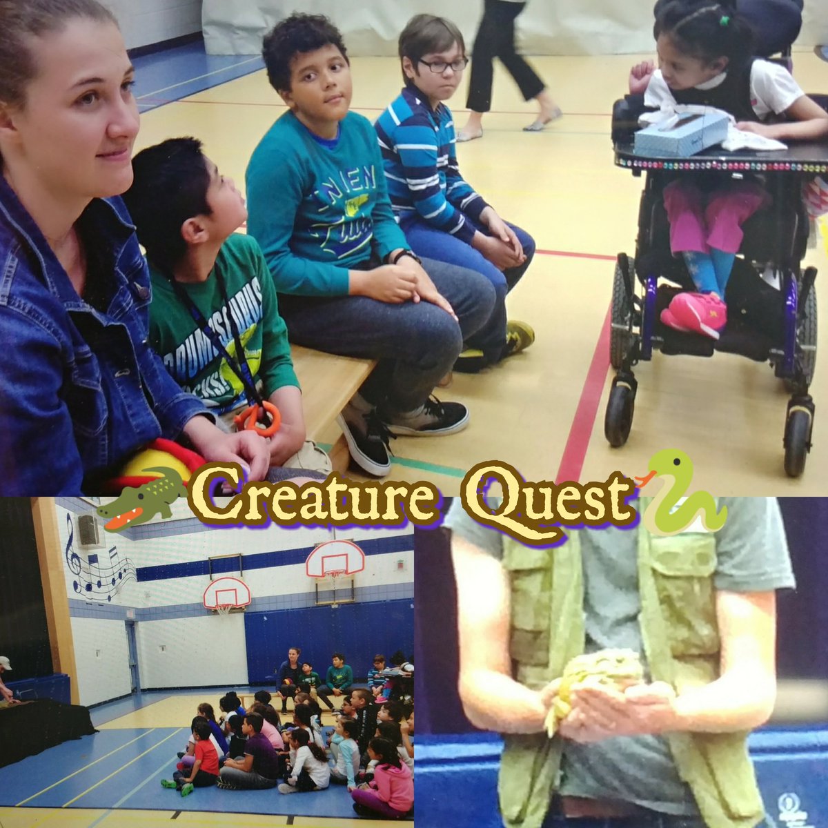 BravestBears115's tweet photo. A visit from some creepy crawlers today! Thank you Creature Quest!🌍🐍🐢🐊🐸🔎👀 #makinglearningfun #nmns115 https://t.co/SkNvPMsWfw