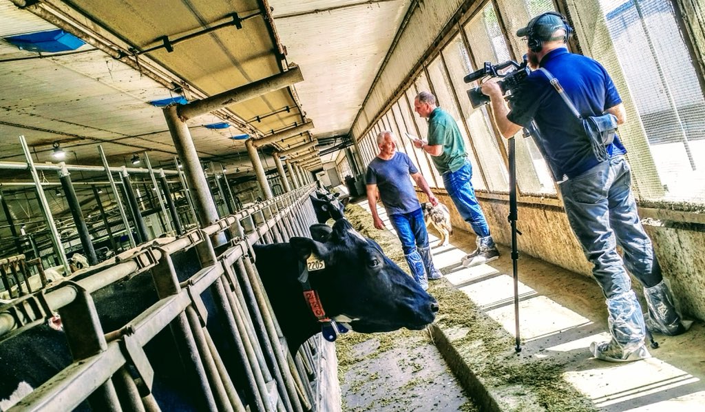 Teresa3c's tweet photo. #BehindTheScenes at Skyline Dairy #Manitoba w/  @davidhwiens &amp; @petertubbs shooting a segment on #Canadian #dairy and #supplymanagement for @IowaPublicTV Market to Market program. https://t.co/wrqWCfbt2Q