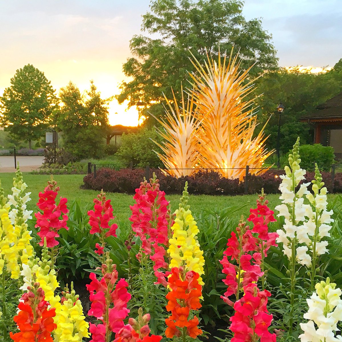 KimberlyButton's tweet photo. Thinking of sunny, balmy evenings at Antler Hill at @biltmoreestate and enjoying the Chihuly artwork. #visitasheville #biltmoreblooms #chihulyatbiltmore #travel https://t.co/aUw1RwDbFY