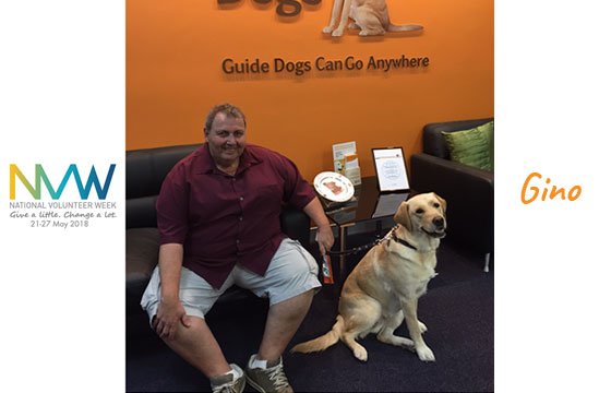 guidedogswa's tweet photo. Celebrating Nat'l Volunteer Wk, today's spotlight is on Gino, who gives up his time to help us change a life.
Read his story: If you want to get involved, click Gino's story & complete the onpage form: https://t.co/qHSajeHrs2
#GuideDogsWA #nationalvolunteerweek #perth https://t.co/scbWftQo5Z