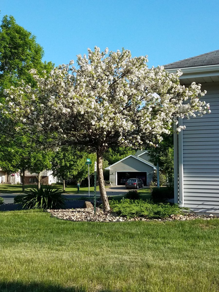 Ziella4Life's tweet image. @ian_leonard #Sprummer Spring in summer