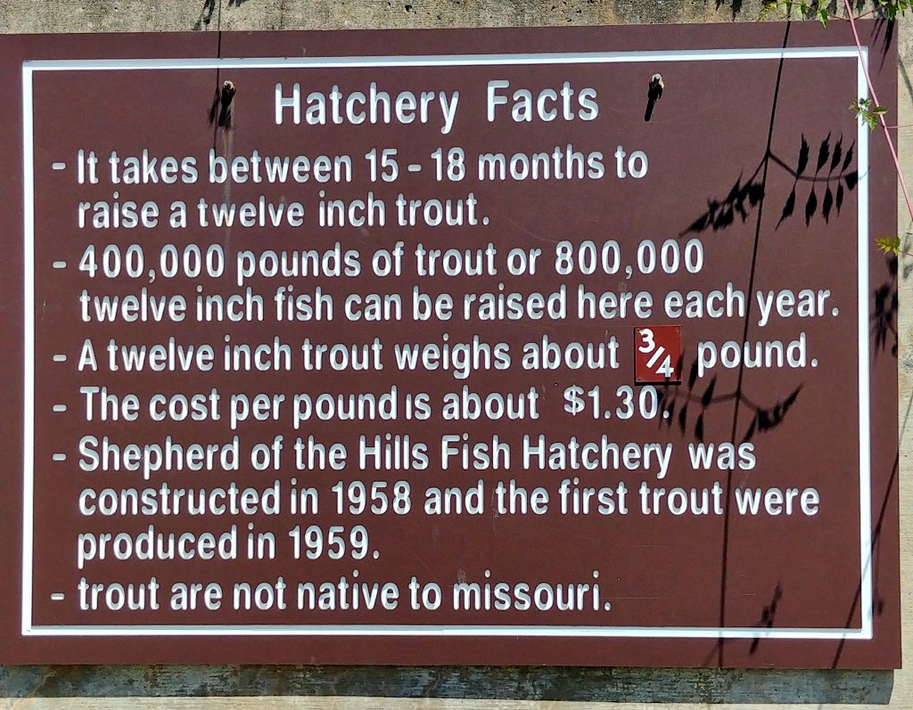 CCRIMercedes's tweet photo. Here's some educational facts we learned today! Such a great stop! #Branson2018 #CCRITrips https://t.co/LDrRP7Aasl