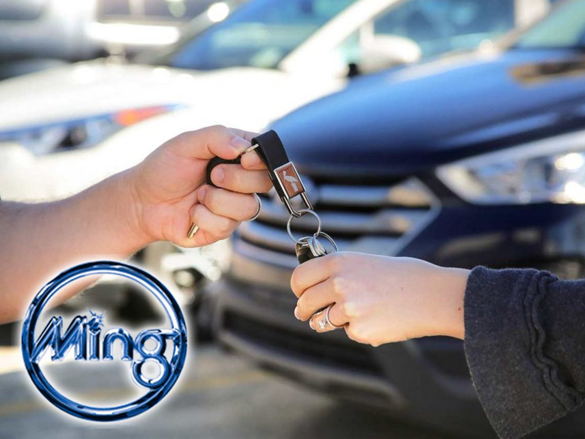 MingofWinnipeg's tweet photo. Protect your vehicle for a higher resale value with ming!
Follow us for detail package giveaways 
Call Now to Book Your Appointment! 
📍1400 ST. James Street (204)786-7681
📍19 Stapleton Street (204)661-3900 https://t.co/l4KmyBpl2G