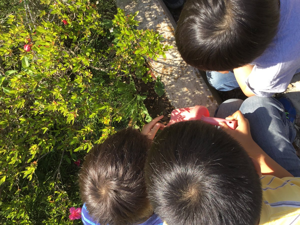 asijMachidori's tweet photo. #G2JPclass students were curious about the root. https://t.co/48sMxdNijU