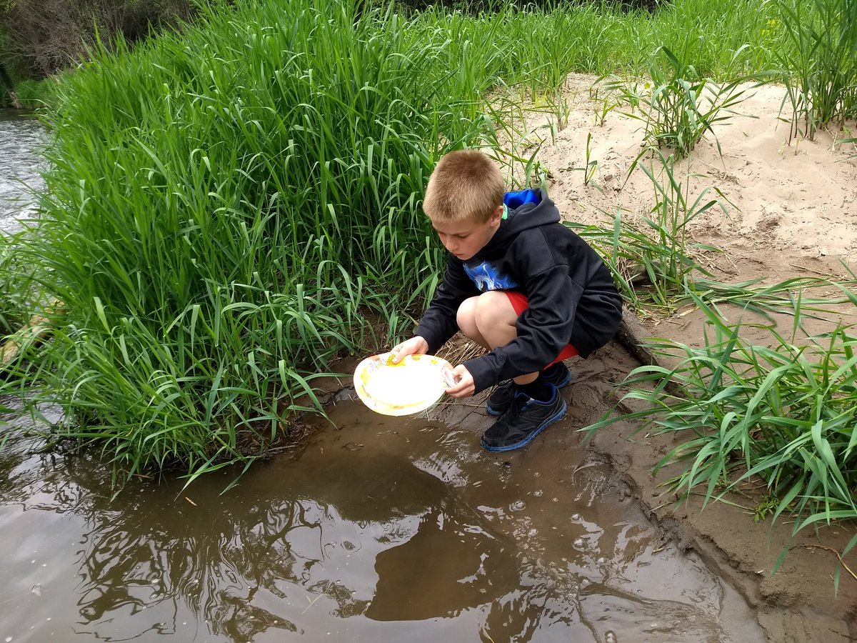 stpapp34's tweet photo. What a great day for a trout release, entomology exploration, and casting clinic. Special thanks to @TroutUnlimited kinni chapter, Wisconsin DNR, Greg, Tom, and Dr. Dean for a wonderful day. #rfsdlearns #rfpride https://t.co/Iue1OlTEDV