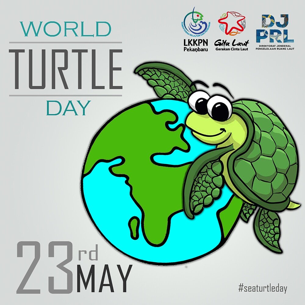 Happy World Turtle Day 2018 #seaturtleday #gitalaut @DitjenPRL