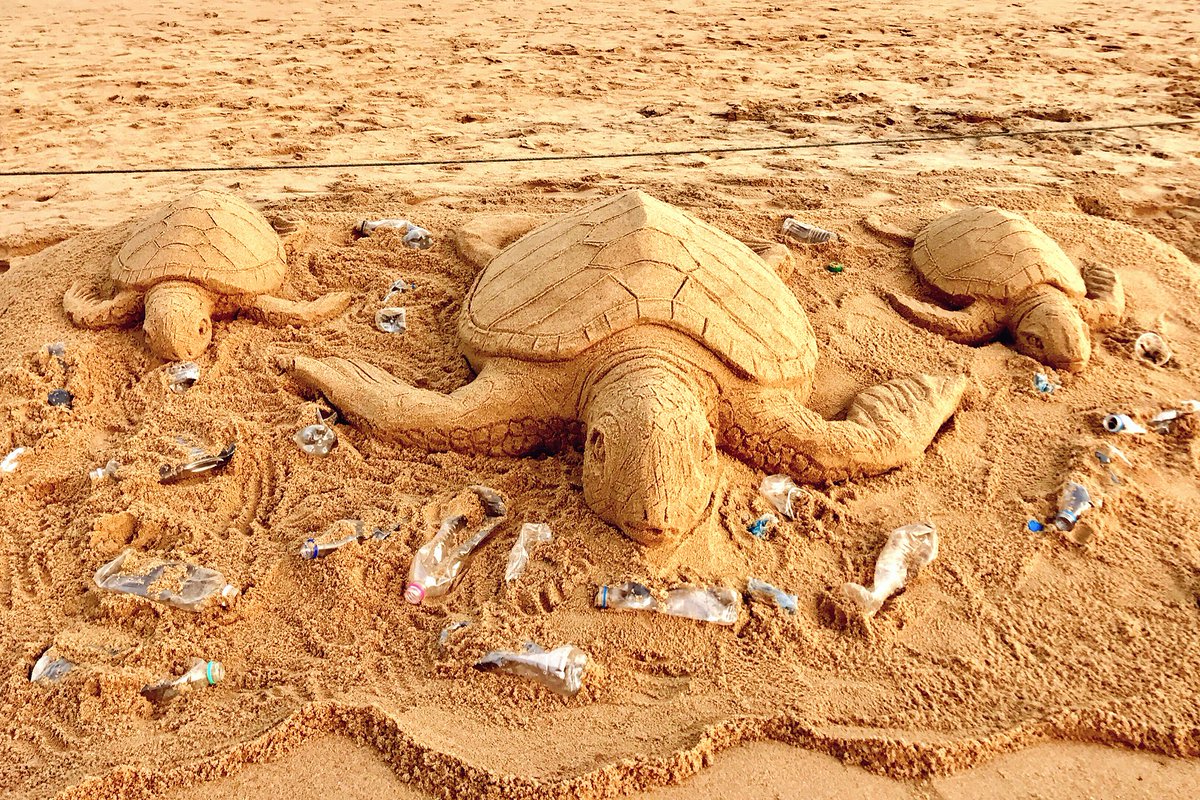 sudarsansand's tweet photo. On #WorldTurtleDay My SandArt at Puri beach in Odisha with message #BeatPlasticPollution. https://t.co/HLKoLW6Si0