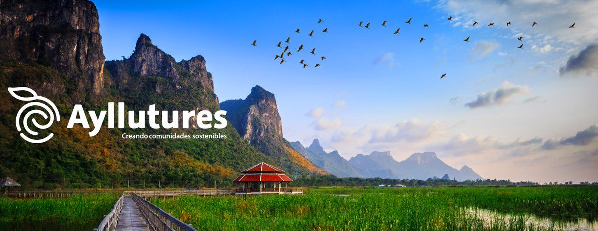 Ayllutures tweet media