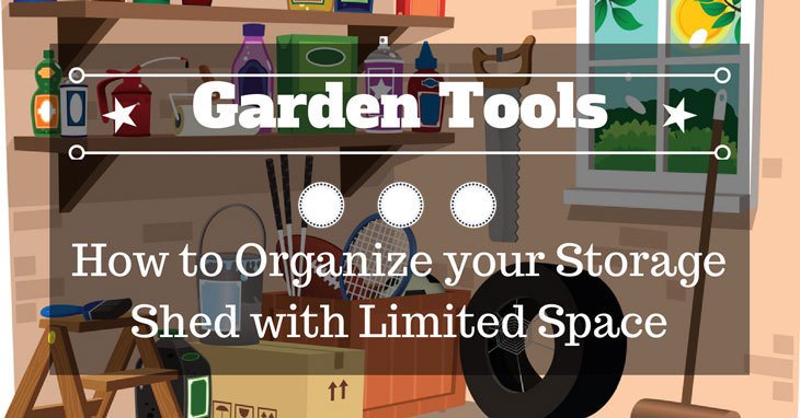 Ella Wilson tweet media