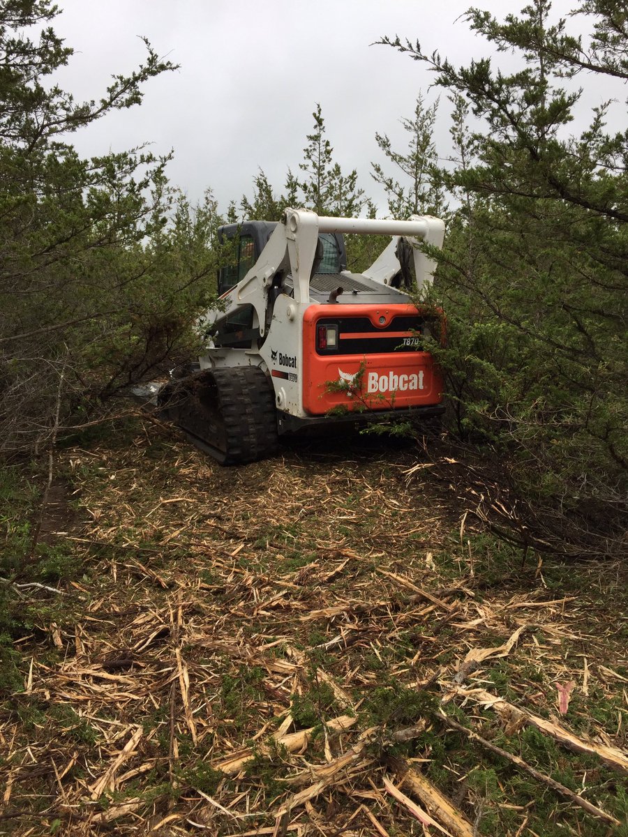LisaDurepos's tweet photo. Making our @ON_EcoSchools vision our reality! We are really excited about expanding our outdoor space and developing out nature trail. We are so blessed to have this landscape at our fingertips. 
@alcdsb_stms #getoutside https://t.co/pxLQlrwX3g