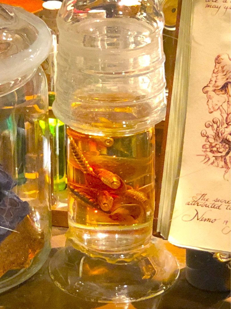 マグマサンクタムツアー