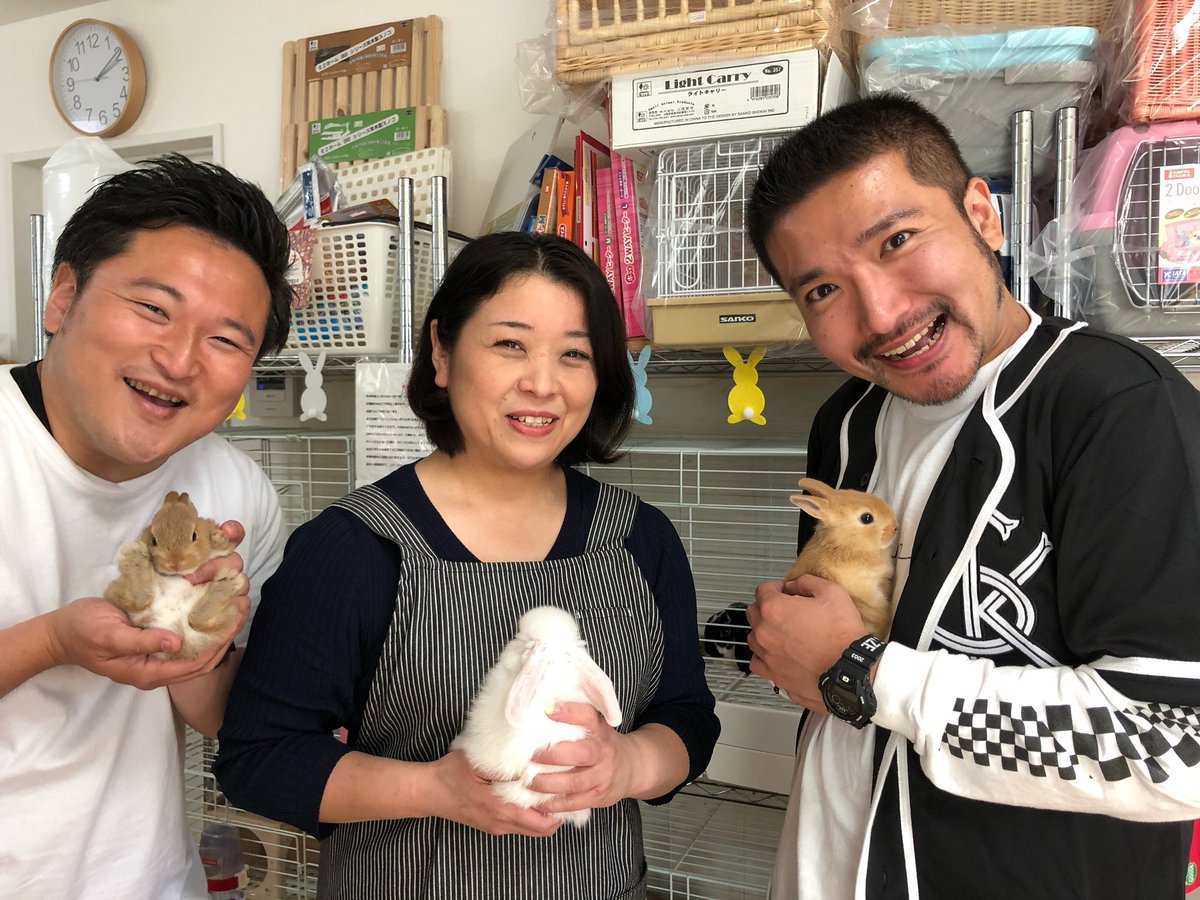 うさぎ専門店うさぎ村 Khb 突撃 ナマイキtvさん5 30水曜日9 55 ペットの専門店にうさぎ村中山吉成店紹介されます ੭ ラビット松原