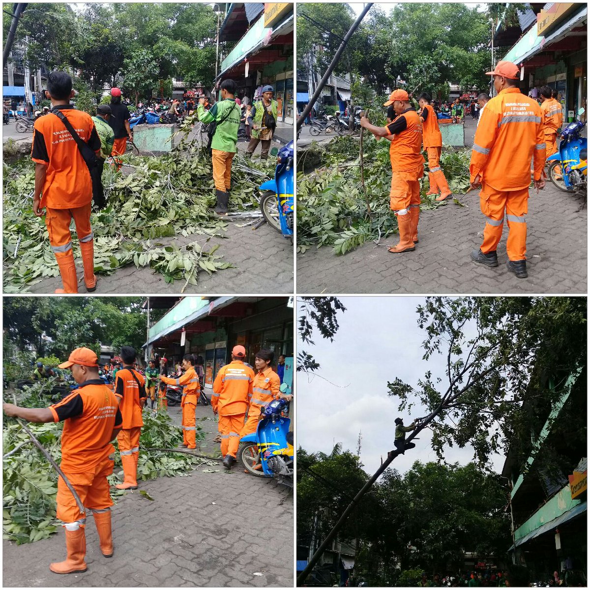KelPadTimJU's tweet photo. Giat Membantu Penanganan Pohon Tumbang
#hpsnjakartautara
#wkju
#pademangantimur
#sudinpertamanan
#ppsu
@Jl. Pademangan III RW. 02 (Pasar Elang) https://t.co/RtTKVhyL2t