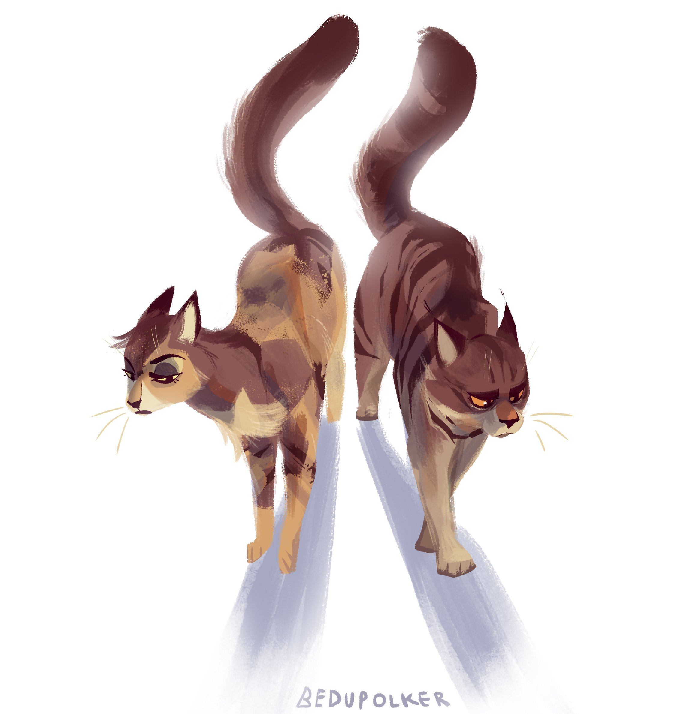 Tawnypelt коты Воители