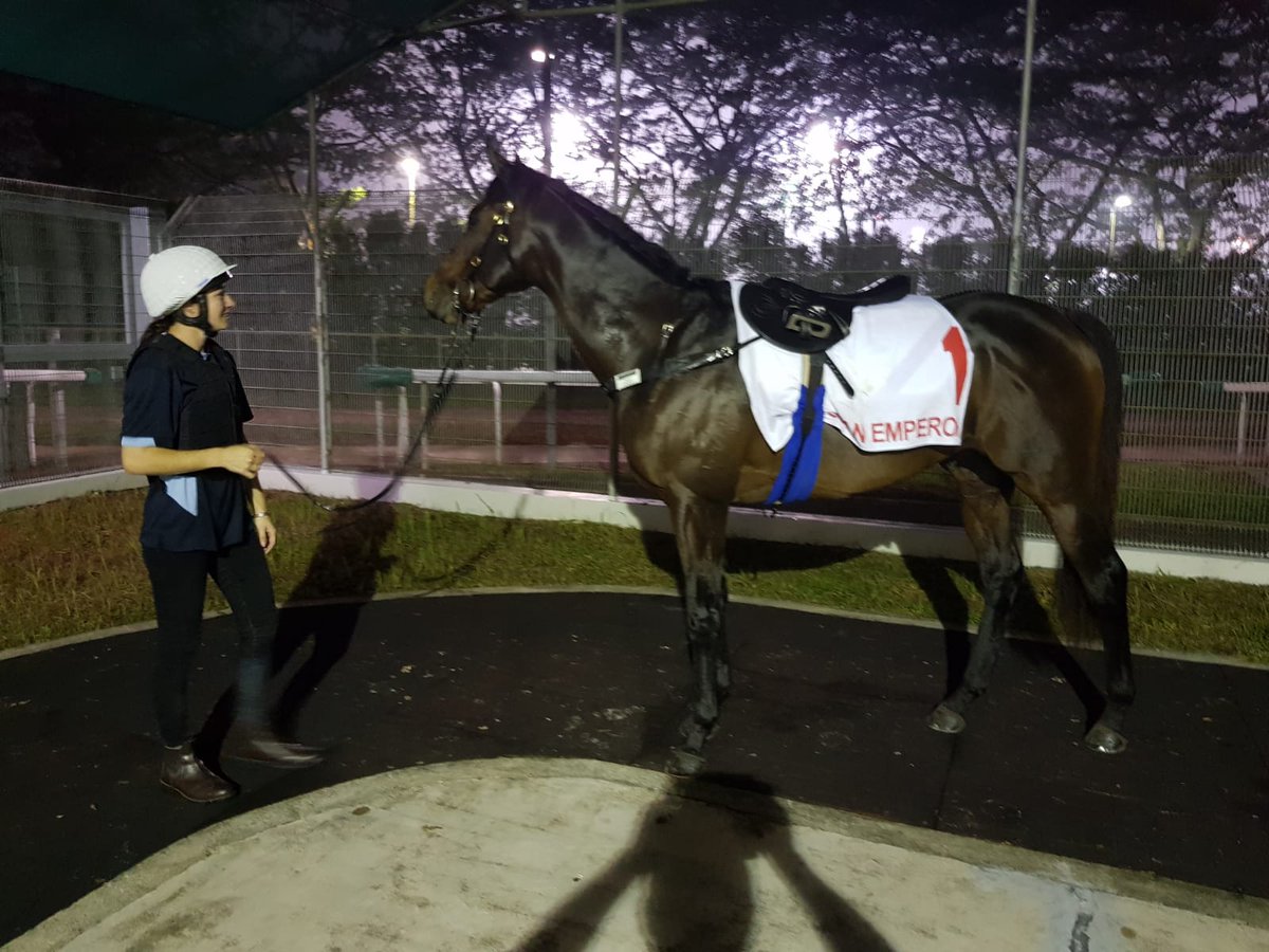 nzracingnews's tweet photo. Gary Hennessy is using his International feature race experience as he prepares last start Group Two winner #OceanEmperor for Saturday's S$1.5million Kranji Mile @SGTurfClub https://t.co/Rvx9SEIxox https://t.co/votGHNWIHZ