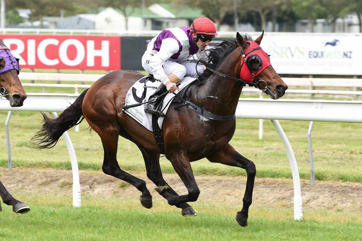 nzracingnews's tweet photo. Gary Hennessy is using his International feature race experience as he prepares last start Group Two winner #OceanEmperor for Saturday's S$1.5million Kranji Mile @SGTurfClub https://t.co/Rvx9SEIxox https://t.co/votGHNWIHZ