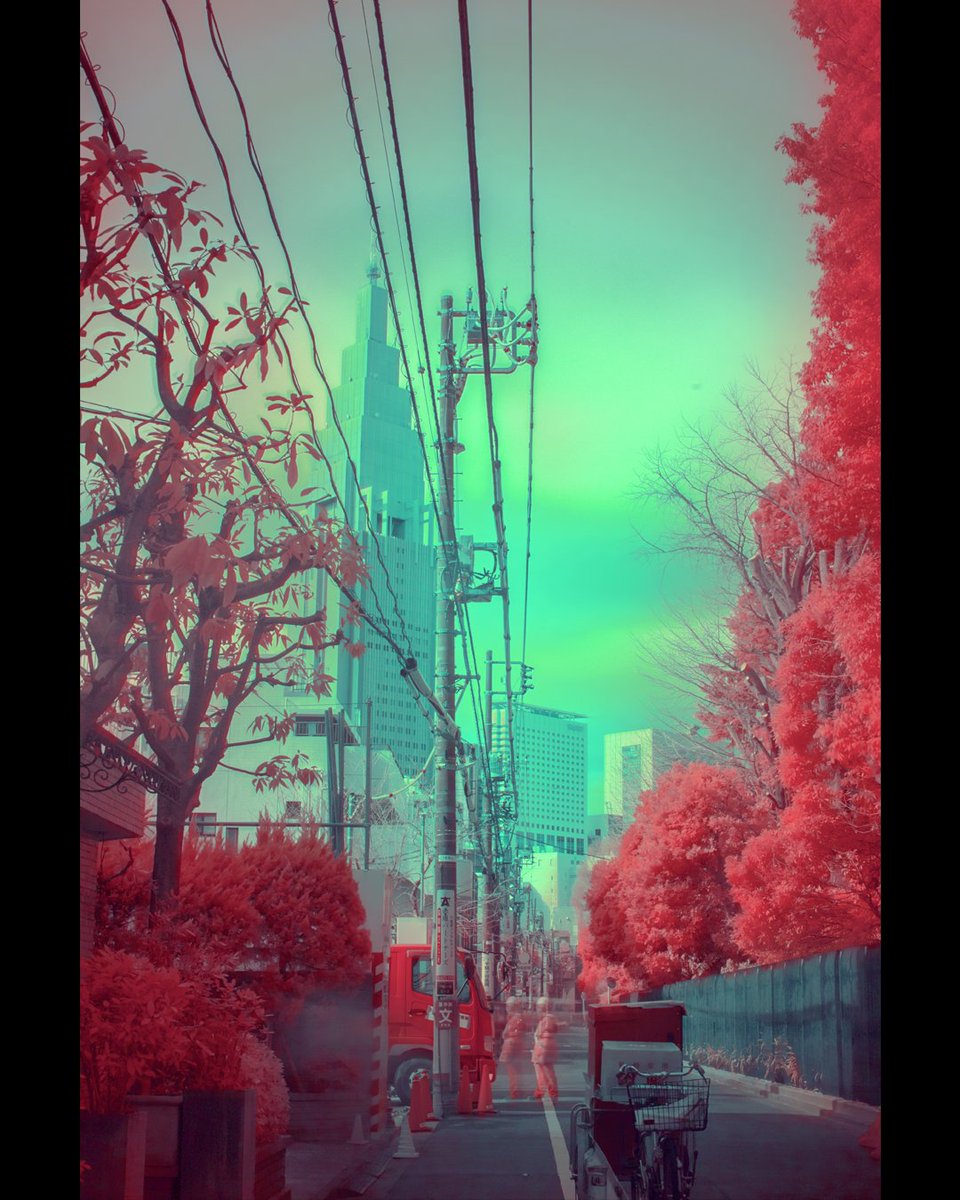 💚❤️ Snapped some infrared photos while in #tokyo