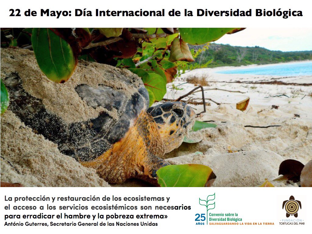 #DíaDeLaBiodiversidad 
Este 2018 se cumplen 25 años del Convenio sobre la Diversidad Biológica.
Nuestra existencia, depende de la #biodiversidad 🦊🐒🐢🐍🐝🐛🦋🕷🐜🦎🦂🦀🦑🐙🐬🐟🐠🦐🦈🐋🐊🐆 y el buen estado de sus ecosistemas en la Tierra 🌎.
#IDB2018 #Biodiversity25Years