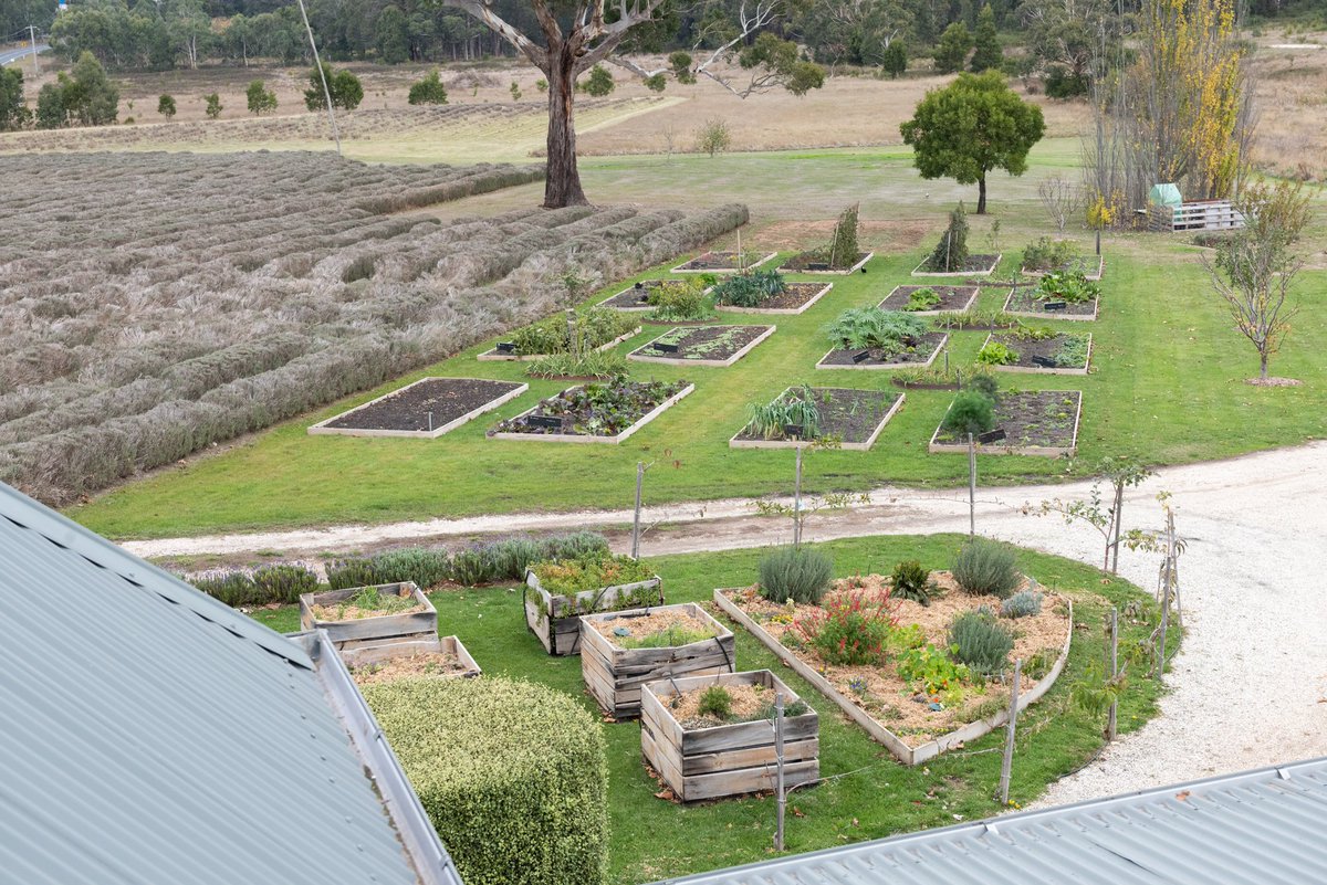 SaultDaylesford's tweet photo. No need to cook tonight, why not book in for Sault’s 2 course express  menu @$55.00pp for 2 courses, Book now on (03) 5348 6555 or online at https://t.co/AZ0knnEKjl https://t.co/HML5S1eczO