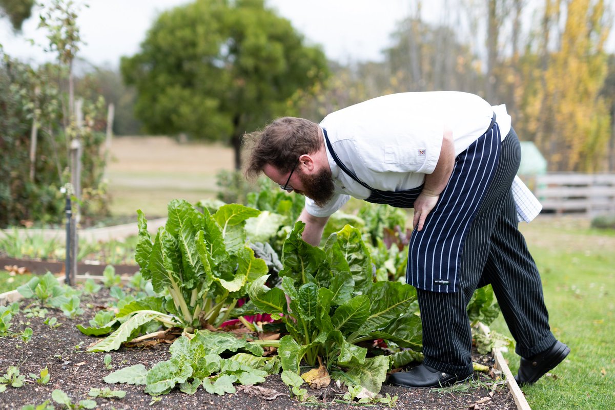 SaultDaylesford's tweet photo. No need to cook tonight, why not book in for Sault’s 2 course express  menu @$55.00pp for 2 courses, Book now on (03) 5348 6555 or online at https://t.co/AZ0knnEKjl https://t.co/HML5S1eczO