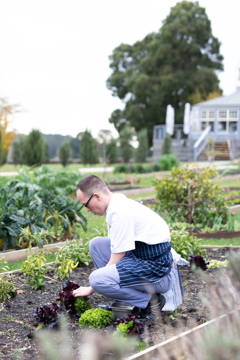 SaultDaylesford's tweet photo. No need to cook tonight, why not book in for Sault’s 2 course express  menu @$55.00pp for 2 courses, Book now on (03) 5348 6555 or online at https://t.co/AZ0knnEKjl https://t.co/HML5S1eczO