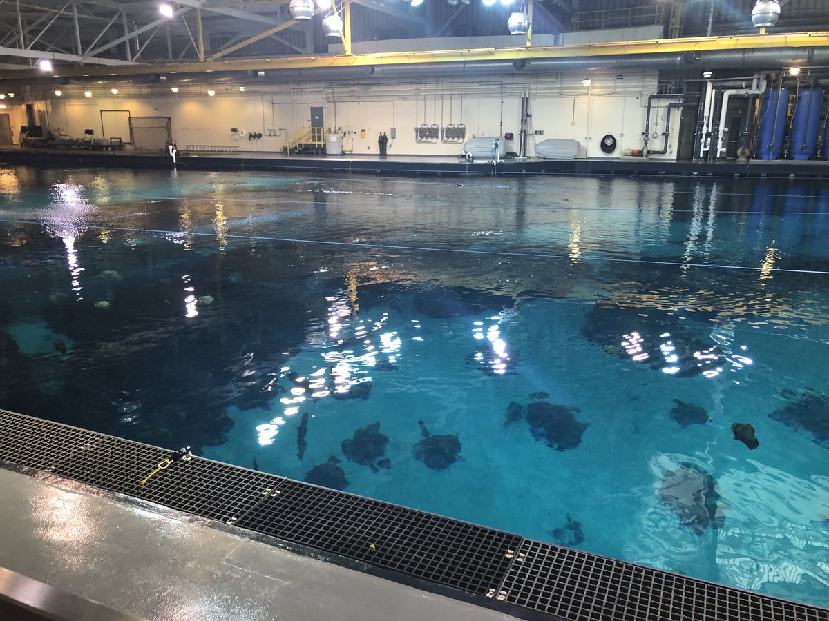 azcrimelab's tweet photo. Great night at the offsite event. Behind the scenes tour of @GeorgiaAquarium Thank you @Battelle @VerogenBio @stacsdna @AuroraBiomed #ascld2018 https://t.co/Gidi5hNT8I