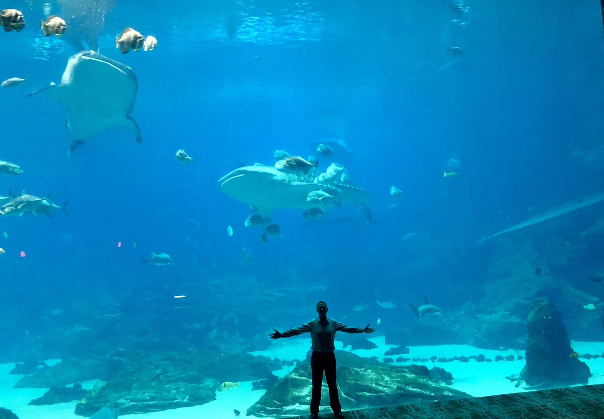 azcrimelab's tweet photo. Great night at the offsite event. Behind the scenes tour of @GeorgiaAquarium Thank you @Battelle @VerogenBio @stacsdna @AuroraBiomed #ascld2018 https://t.co/Gidi5hNT8I