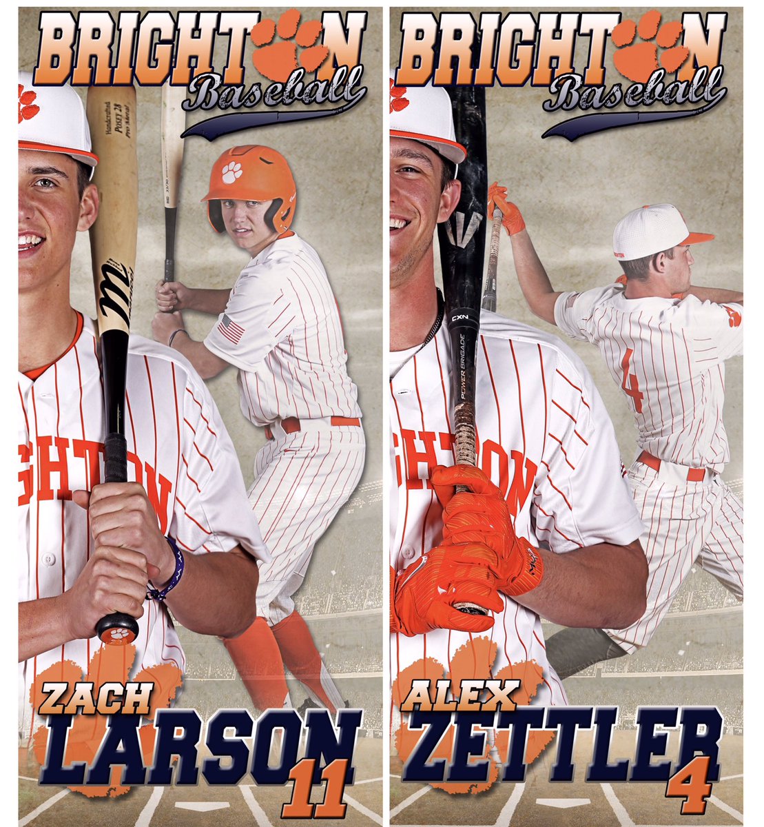 Brighton Baseball tweet media