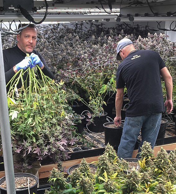 Eco Firma Farms tweet media