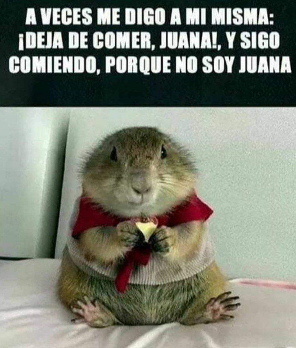 MILMHEART's tweet photo. 🤔 ahora entiendo todo 🤣😂🤣😂
#milmheart @lillydcortes #metraumo #muero #ConRazon #sepasa #LaGarnacha https://t.co/ZTCr0MOmm2