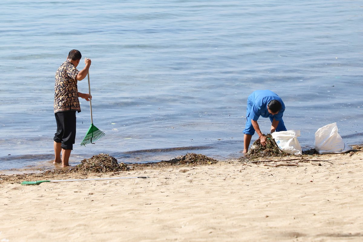 masjokoswt's tweet photo. Bersih Pantai #KurangiSampahmu #BeatPlasticPollution #DariBalikLensa @DariBalikLensa @Ditjen_PSLB3 https://t.co/FWnq5A0jl1