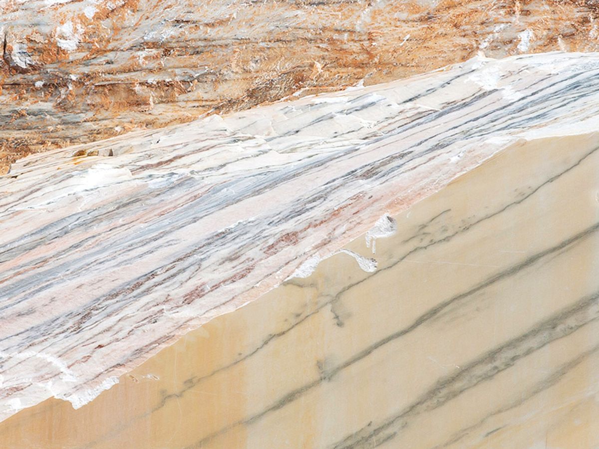 Bloomberg Politics tweet media