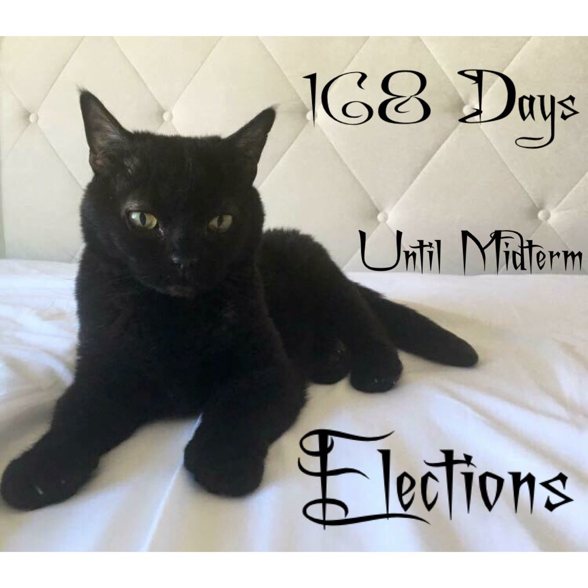 days2midterms's tweet photo. It's ok to be sad. Take a self care day if you need one. #WorldGothDay https://t.co/1XXNnencPk