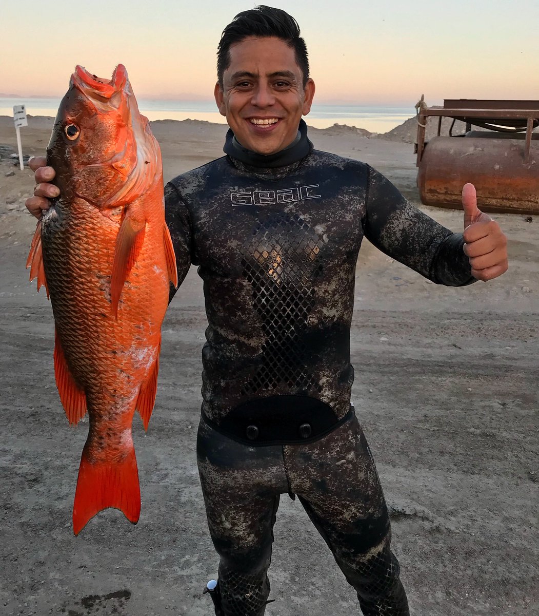 vgvlmx's tweet photo. Just an usual tuesday of salt life!
#CatchOfTheDay #Spearfishing #Baja #Seacsub #RobAllen https://t.co/EsVojGhD3J